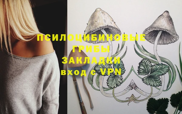 2c-b Белокуриха