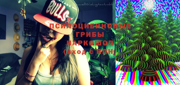 2c-b Белокуриха